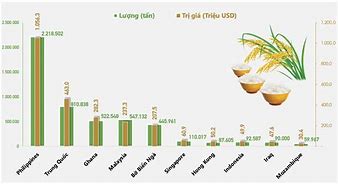 Quy Trình Xuất Khẩu Gạo Sang Nước Ngoài Là Bao Nhiêu Tiền Việt Nam