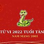 Sinh Năm 2001 Thì Năm 2023 Bao Nhiêu Tuổi Thi